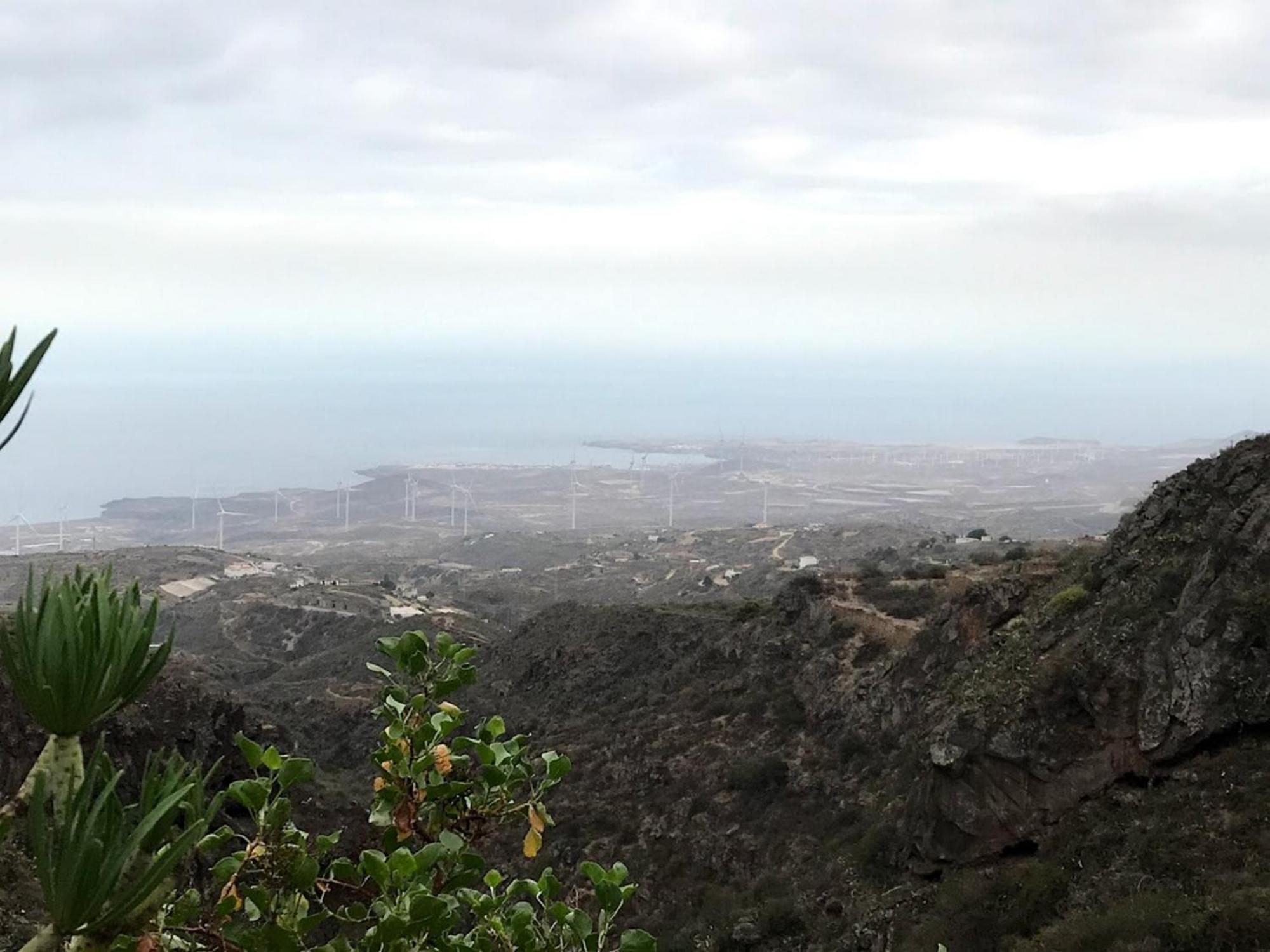 Finca Las Polinarias Casa Cueva En Fasnia Santa Cruz de Tenerife Ngoại thất bức ảnh