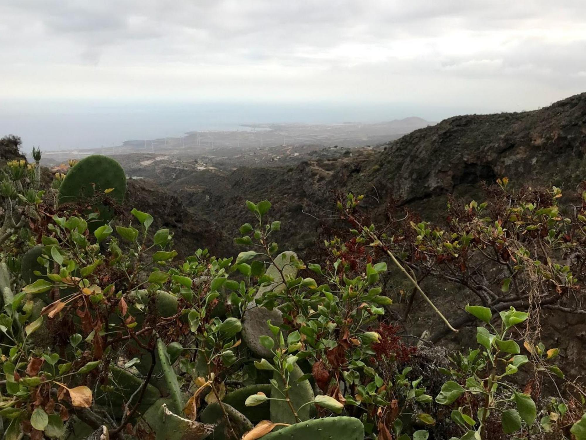 Finca Las Polinarias Casa Cueva En Fasnia Santa Cruz de Tenerife Ngoại thất bức ảnh