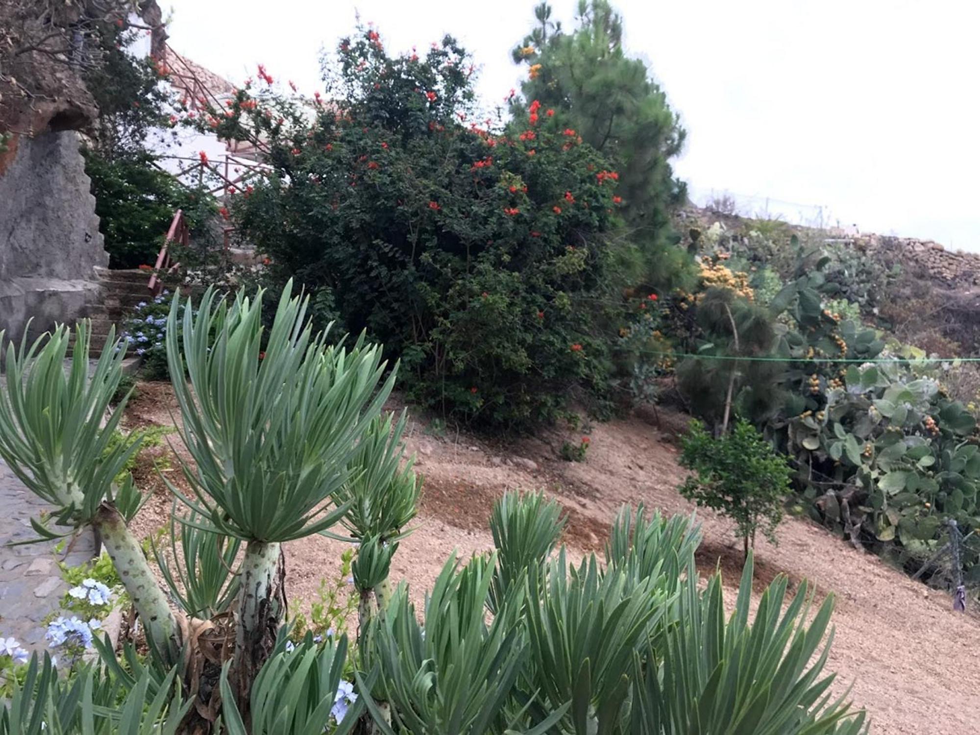 Finca Las Polinarias Casa Cueva En Fasnia Santa Cruz de Tenerife Ngoại thất bức ảnh