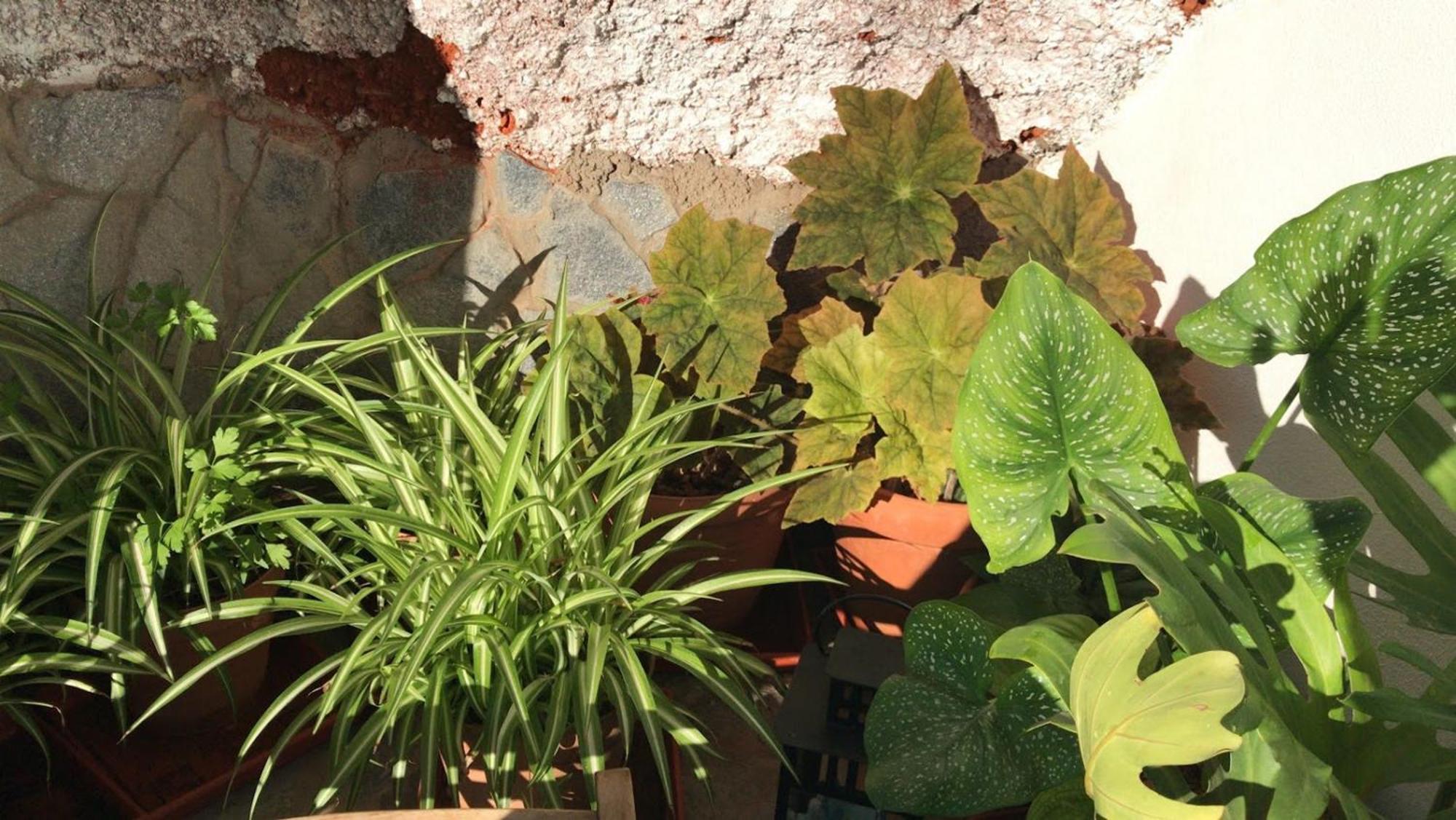 Finca Las Polinarias Casa Cueva En Fasnia Santa Cruz de Tenerife Ngoại thất bức ảnh