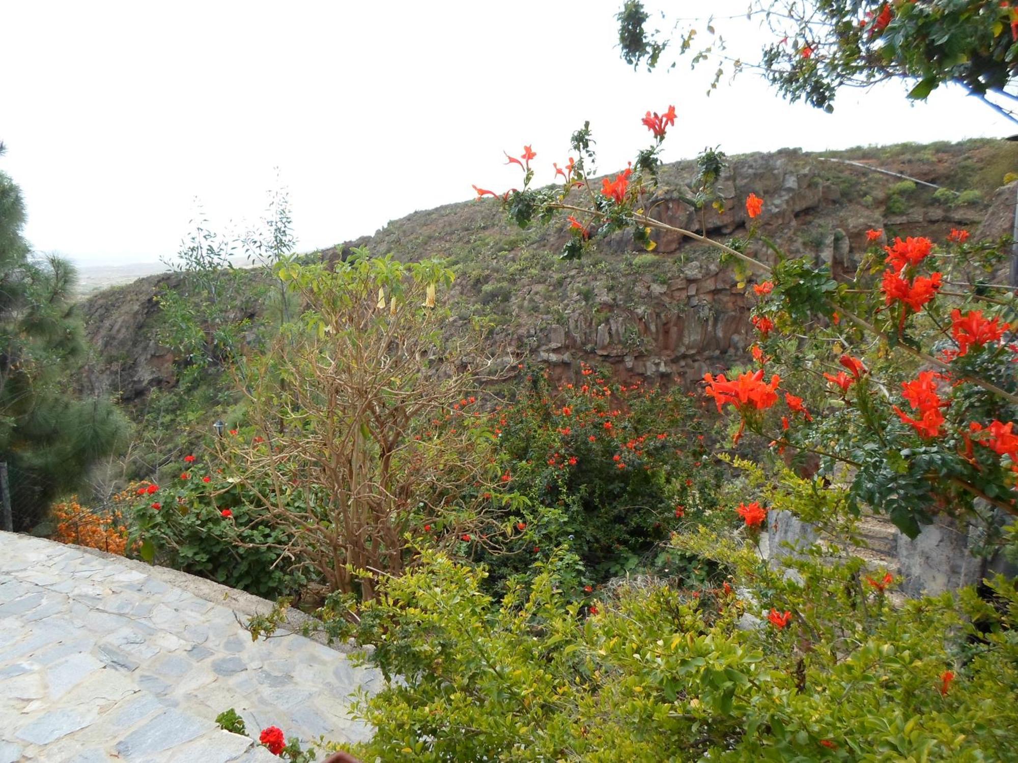 Finca Las Polinarias Casa Cueva En Fasnia Santa Cruz de Tenerife Ngoại thất bức ảnh