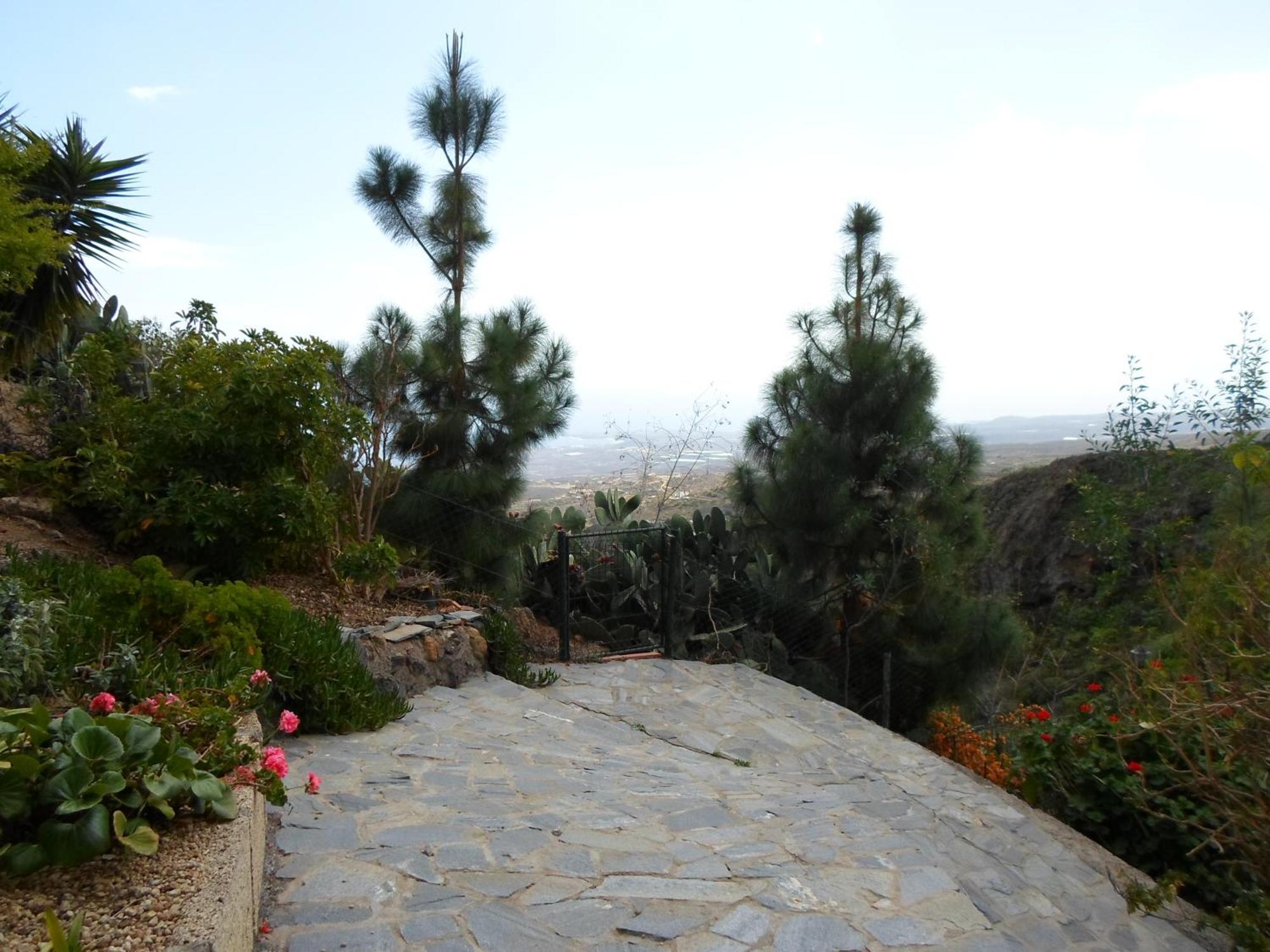 Finca Las Polinarias Casa Cueva En Fasnia Santa Cruz de Tenerife Ngoại thất bức ảnh